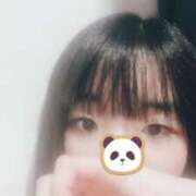 ヒメ日記 2025/03/28 15:47 投稿 せいか 奴隷コレクション梅田店