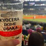 ヒメ日記 2025/04/02 12:49 投稿 せいか 奴隷コレクション梅田店