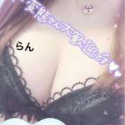 ヒメ日記 2026/04/29 11:11 投稿 蘭　らん 本庄人妻城