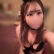 ヒメ日記 2026/04/29 17:32 投稿 しいな G-STAGE