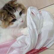 ヒメ日記 2024/12/28 23:21 投稿 あんな 快楽夫人