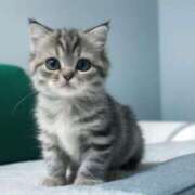 ヒメ日記 2024/12/29 15:17 投稿 あみ 岐阜岐南各務原ちゃんこ