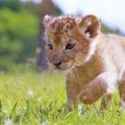 ヒメ日記 2025/01/12 13:07 投稿 あみ 岐阜岐南各務原ちゃんこ