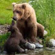 ヒメ日記 2025/01/12 16:17 投稿 あみ 岐阜岐南各務原ちゃんこ