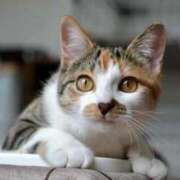 ヒメ日記 2025/01/13 01:17 投稿 あみ 岐阜岐南各務原ちゃんこ