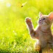 ヒメ日記 2025/01/13 09:07 投稿 あみ 岐阜岐南各務原ちゃんこ