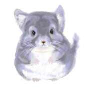 ヒメ日記 2025/01/13 16:37 投稿 あみ 岐阜岐南各務原ちゃんこ