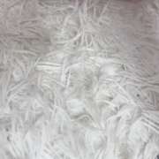 ヒメ日記 2025/03/12 04:01 投稿 あん★完未の経験人数1人JD★ S級素人清楚系デリヘル chloe