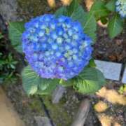 ヒメ日記 2026/06/02 12:15 投稿 はづき 梅田アバンチュール