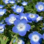 ヒメ日記 2025/04/10 13:51 投稿 可愛 唯 RAO-ラオウ-