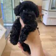 ヒメ日記 2025/11/09 11:41 投稿 可愛 唯 RAO-ラオウ-