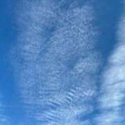 ヒメ日記 2025/01/14 16:43 投稿 るな ZERO