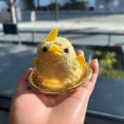 ヒメ日記 2025/01/16 19:03 投稿 るな ZERO