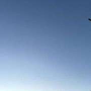 ヒメ日記 2025/02/09 07:07 投稿 るな ZERO