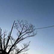 ヒメ日記 2025/03/12 09:50 投稿 るな ZERO