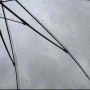 ヒメ日記 2025/03/16 08:00 投稿 るな ZERO