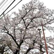 ヒメ日記 2025/04/07 06:46 投稿 るな ZERO