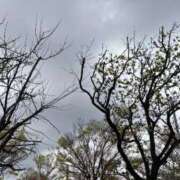 ヒメ日記 2025/04/10 06:49 投稿 るな ZERO