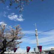 ヒメ日記 2025/04/12 10:34 投稿 るな ZERO