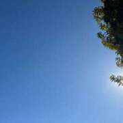 ヒメ日記 2025/07/20 10:37 投稿 るな ZERO