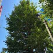 ヒメ日記 2025/07/25 10:37 投稿 るな ZERO