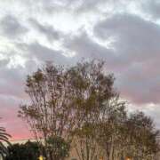 ヒメ日記 2025/11/23 23:12 投稿 るな ZERO