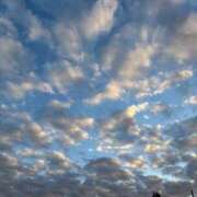 ヒメ日記 2025/11/29 16:14 投稿 るな ZERO