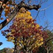 ヒメ日記 2025/12/07 15:07 投稿 るな ZERO