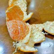 ヒメ日記 2025/01/03 14:21 投稿 つくし 石亭