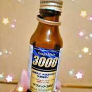 ヒメ日記 2025/01/12 14:14 投稿 つくし 石亭