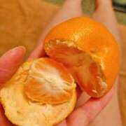 ヒメ日記 2025/01/17 14:16 投稿 つくし 石亭