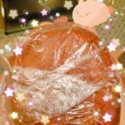 ヒメ日記 2025/03/11 14:14 投稿 つくし 石亭