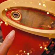 ヒメ日記 2025/03/12 16:08 投稿 つくし 石亭