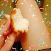 ヒメ日記 2025/03/13 16:15 投稿 つくし 石亭