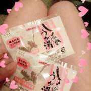 ヒメ日記 2025/03/25 17:07 投稿 つくし 石亭