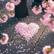 ヒメ日記 2025/03/30 15:45 投稿 つくし 石亭