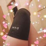 ヒメ日記 2025/04/01 17:06 投稿 つくし 石亭