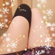 ヒメ日記 2025/04/02 17:08 投稿 つくし 石亭