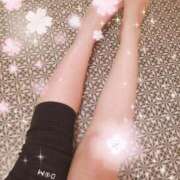 ヒメ日記 2025/04/04 17:48 投稿 つくし 石亭