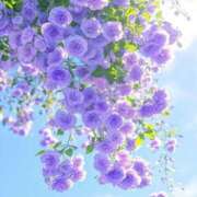 ヒメ日記 2025/04/16 17:15 投稿 つくし 石亭