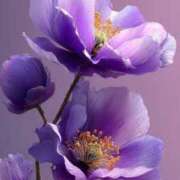 ヒメ日記 2025/07/27 16:01 投稿 つくし 石亭