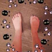 ヒメ日記 2025/08/01 17:18 投稿 つくし 石亭