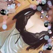 ヒメ日記 2025/08/20 17:18 投稿 つくし 石亭