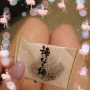 ヒメ日記 2025/09/17 14:06 投稿 つくし 石亭