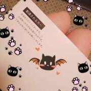 ヒメ日記 2025/09/26 14:46 投稿 つくし 石亭