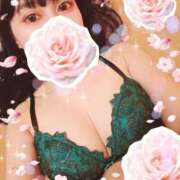 ヒメ日記 2025/11/10 15:29 投稿 つくし 石亭