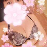 ヒメ日記 2025/11/15 23:51 投稿 つくし 石亭