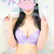 ヒメ日記 2025/11/16 12:14 投稿 つくし 石亭