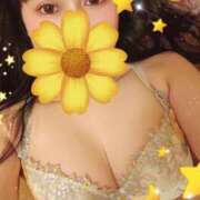 ヒメ日記 2025/11/19 12:23 投稿 つくし 石亭