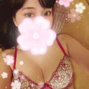 ヒメ日記 2025/12/01 15:52 投稿 つくし 石亭